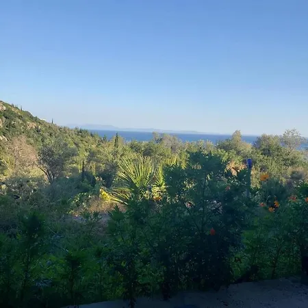 Πανσιόν Zaho Dhërmi